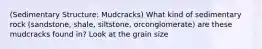 (Sedimentary Structure: Mudcracks) What kind of sedimentary rock (sandstone, shale, siltstone, orconglomerate) are these mudcracks found in? Look at the grain size