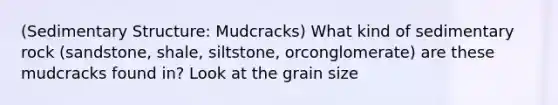 (Sedimentary Structure: Mudcracks) What kind of sedimentary rock (sandstone, shale, siltstone, orconglomerate) are these mudcracks found in? Look at the grain size