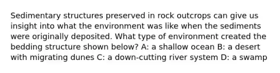 Sedimentary structures preserved in rock outcrops can give us insight into what the environment was like when the sediments were originally deposited. What type of environment created the bedding structure shown below? A: a shallow ocean B: a desert with migrating dunes C: a down-cutting river system D: a swamp