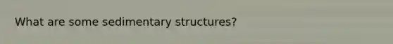 What are some sedimentary structures?