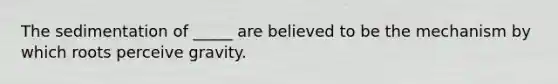 The sedimentation of _____ are believed to be the mechanism by which roots perceive gravity.