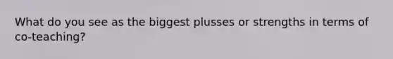 What do you see as the biggest plusses or strengths in terms of co-teaching?