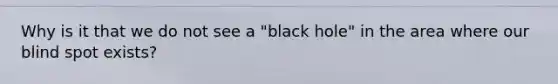 Why is it that we do not see a "black hole" in the area where our blind spot exists?