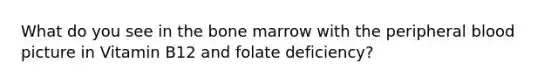 What do you see in the bone marrow with the peripheral blood picture in Vitamin B12 and folate deficiency?