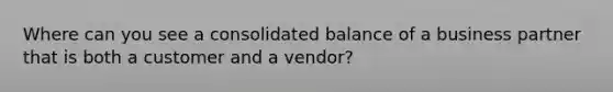 Where can you see a consolidated balance of a business partner that is both a customer and a vendor?