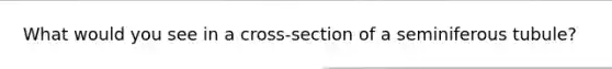 What would you see in a cross-section of a seminiferous tubule?