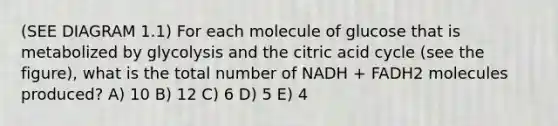 (SEE DIAGRAM 1.1) For each molecule of glucose that is metabolized by glycolysis and the citric acid cycle (see the figure), what is the total number of NADH + FADH2 molecules produced? A) 10 B) 12 C) 6 D) 5 E) 4