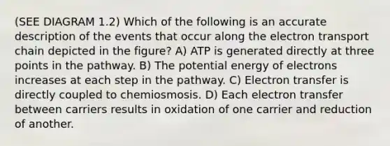 (SEE DIAGRAM 1.2) Which of the following is an accurate description of the events that occur along <a href='https://www.questionai.com/knowledge/k57oGBr0HP-the-electron-transport-chain' class='anchor-knowledge'>the electron transport chain</a> depicted in the figure? A) ATP is generated directly at three points in the pathway. B) The potential energy of electrons increases at each step in the pathway. C) <a href='https://www.questionai.com/knowledge/kzP6QOcY63-electron-transfer' class='anchor-knowledge'>electron transfer</a> is directly coupled to chemiosmosis. D) Each electron transfer between carriers results in oxidation of one carrier and reduction of another.