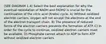 (SEE DIAGRAM 1.4) Select the best explanation for why the eventual reoxidation of NADH and FADH2 is crucial for the continuation of the citric acid (Krebs) cycle. A) Without oxidized electron carriers, oxygen will not accept the electrons at the end of the electron transport chain. B) The presence of reduced forms of the electron carriers prevents the formation of ATP. C) In order for the cycle to continue, oxidized electron carriers must be available. D) Phosphate cannot attach to ADP to form ATP without oxidized electron carriers.