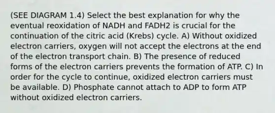 (SEE DIAGRAM 1.4) Select the best explanation for why the eventual reoxidation of NADH and FADH2 is crucial for the continuation of the citric acid (Krebs) cycle. A) Without oxidized electron carriers, oxygen will not accept the electrons at the end of <a href='https://www.questionai.com/knowledge/k57oGBr0HP-the-electron-transport-chain' class='anchor-knowledge'>the electron transport chain</a>. B) The presence of reduced forms of the electron carriers prevents the formation of ATP. C) In order for the cycle to continue, oxidized electron carriers must be available. D) Phosphate cannot attach to ADP to form ATP without oxidized electron carriers.