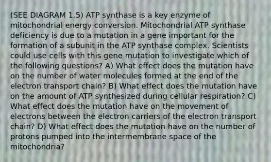 (SEE DIAGRAM 1.5) ATP synthase is a key enzyme of mitochondrial energy conversion. Mitochondrial ATP synthase deficiency is due to a mutation in a gene important for the formation of a subunit in the ATP synthase complex. Scientists could use cells with this gene mutation to investigate which of the following questions? A) What effect does the mutation have on the number of water molecules formed at the end of <a href='https://www.questionai.com/knowledge/k57oGBr0HP-the-electron-transport-chain' class='anchor-knowledge'>the electron transport chain</a>? B) What effect does the mutation have on the amount of ATP synthesized during cellular respiration? C) What effect does the mutation have on the movement of electrons between the electron carriers of the electron transport chain? D) What effect does the mutation have on the number of protons pumped into the intermembrane space of the mitochondria?