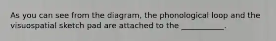 As you can see from the diagram, the phonological loop and the visuospatial sketch pad are attached to the ___________.