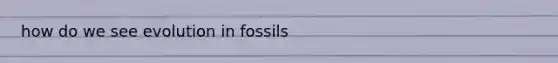 how do we see evolution in fossils