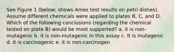 See Figure 1 (below; shows Ames test results on petri dishes). Assume different chemicals were applied to plates B, C, and D. Which of the following conclusions (regarding the chemical tested on plate B) would be most supported? a. it is non-mutagenic b. it is non-mutagenic in this assay c. It is mutagenic d. it is carcinogenic e. it is non-carcinogen