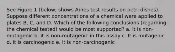 See Figure 1 (below; shows Ames test results on petri dishes). Suppose different concentrations of a chemical were applied to plates B, C, and D. Which of the following conclusions (regarding the chemical tested) would be most supported? a. it is non-mutagenic b. it is non-mutagenic in this assay c. It is mutagenic d. it is carcinogenic e. it is non-carcinogenic