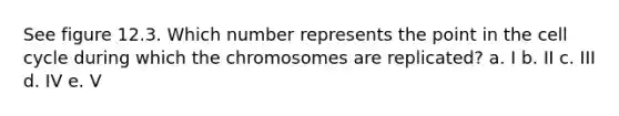 See figure 12.3. Which number represents the point in the cell cycle during which the chromosomes are replicated? a. I b. II c. III d. IV e. V