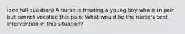 (see full question) A nurse is treating a young boy who is in pain but cannot vocalize this pain. What would be the nurse's best intervention in this situation?