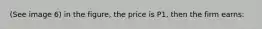 (See image 6) in the figure, the price is P1, then the firm earns: