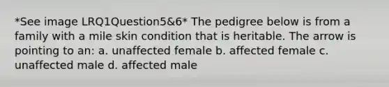 *See image LRQ1Question5&6* The pedigree below is from a family with a mile skin condition that is heritable. The arrow is pointing to an: a. unaffected female b. affected female c. unaffected male d. affected male