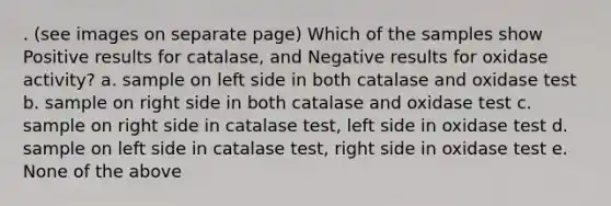 . (see images on separate page) Which of the samples show Positive results for catalase, and Negative results for oxidase activity? a. sample on left side in both catalase and oxidase test b. sample on right side in both catalase and oxidase test c. sample on right side in catalase test, left side in oxidase test d. sample on left side in catalase test, right side in oxidase test e. None of the above