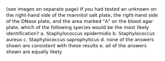 (see images on separate page) If you had tested an unknown on the right-hand side of the mannitol salt plate, the right-hand side of the DNase plate, and the area marked "A" on <a href='https://www.questionai.com/knowledge/k7oXMfj7lk-the-blood' class='anchor-knowledge'>the blood</a> agar plate, which of the following species would be the most likely identification? a. Staphylococcus epidermidis b. Staphylococcus aureus c. Staphylococcus saprophyticus d. none of the answers shown are consistent with these results e. all of the answers shown are equally likely