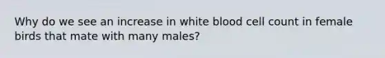 Why do we see an increase in white blood cell count in female birds that mate with many males?