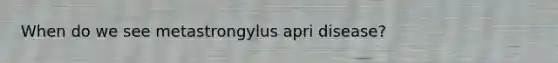 When do we see metastrongylus apri disease?