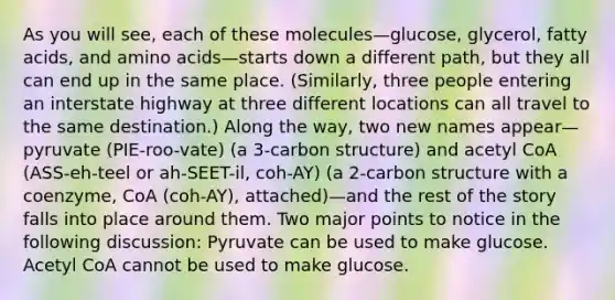 As you will see, each of these molecules—glucose, glycerol, fatty acids, and amino acids—starts down a different path, but they all can end up in the same place. (Similarly, three people entering an interstate highway at three different locations can all travel to the same destination.) Along the way, two new names appear—pyruvate (PIE-roo-vate) (a 3-carbon structure) and acetyl CoA (ASS-eh-teel or ah-SEET-il, coh-AY) (a 2-carbon structure with a coenzyme, CoA (coh-AY), attached)—and the rest of the story falls into place around them. Two major points to notice in the following discussion: Pyruvate can be used to make glucose. Acetyl CoA cannot be used to make glucose.