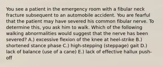 You see a patient in the emergency room with a fibular neck fracture subsequent to an automobile accident. You are fearful that the patient may have severed his common fibular nerve. To determine this, you ask him to walk. Which of the following walking abnormalities would suggest that the nerve has been severed? A.) excessive flexion of the knee at heel-strike B.) shortened stance phase C.) high-stepping (steppage) gait D.) lack of balance (use of a cane) E.) lack of effective hallux push-off