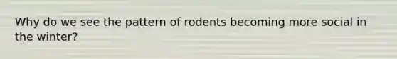 Why do we see the pattern of rodents becoming more social in the winter?