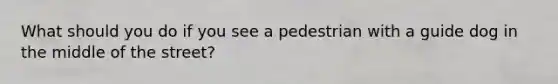 What should you do if you see a pedestrian with a guide dog in the middle of the street?