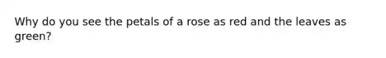 Why do you see the petals of a rose as red and the leaves as green?