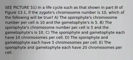 SEE PICTURE 51) In a life cycle such as that shown in part III of Figure 13.1, if the zygote's chromosome number is 10, which of the following will be true? A) The sporophyte's chromosome number per cell is 10 and the gametophyte's is 5. B) The sporophyte's chromosome number per cell is 5 and the gametophyte's is 10. C) The sporophyte and gametophyte each have 10 chromosomes per cell. D) The sporophyte and gametophyte each have 5 chromosomes per cell. E) The sporophyte and gametophyte each have 20 chromosomes per cell.