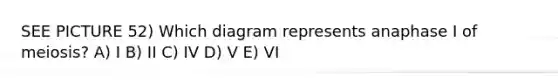 SEE PICTURE 52) Which diagram represents anaphase I of meiosis? A) I B) II C) IV D) V E) VI