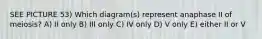 SEE PICTURE 53) Which diagram(s) represent anaphase II of meiosis? A) II only B) III only C) IV only D) V only E) either II or V