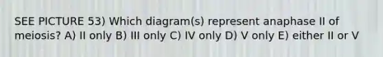 SEE PICTURE 53) Which diagram(s) represent anaphase II of meiosis? A) II only B) III only C) IV only D) V only E) either II or V