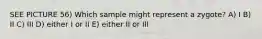 SEE PICTURE 56) Which sample might represent a zygote? A) I B) II C) III D) either I or II E) either II or III