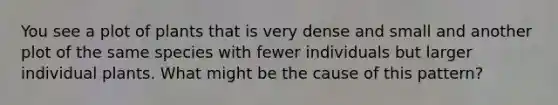 You see a plot of plants that is very dense and small and another plot of the same species with fewer individuals but larger individual plants. What might be the cause of this pattern?