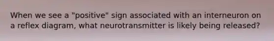 When we see a "positive" sign associated with an interneuron on a reflex diagram, what neurotransmitter is likely being released?