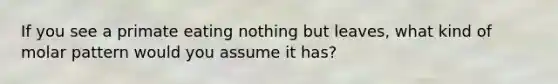 If you see a primate eating nothing but leaves, what kind of molar pattern would you assume it has?