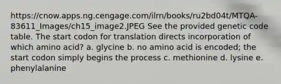 https://cnow.apps.ng.cengage.com/ilrn/books/ru2bd04t/MTQA-83611_Images/ch15_image2.JPEG See the provided genetic code table. The start codon for translation directs incorporation of which amino acid? a. glycine b. no amino acid is encoded; the start codon simply begins the process c. methionine d. lysine e. phenylalanine