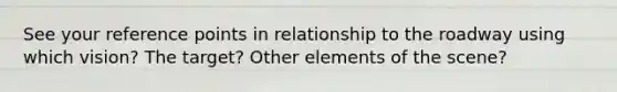 See your reference points in relationship to the roadway using which vision? The target? Other elements of the scene?