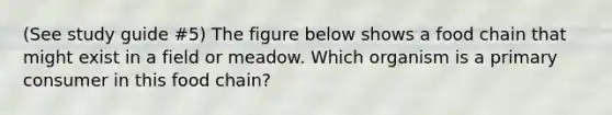 (See study guide #5) The figure below shows a food chain that might exist in a field or meadow. Which organism is a primary consumer in this food chain?