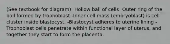 (See textbook for diagram) -Hollow ball of cells -Outer ring of the ball formed by trophoblast -Inner cell mass (embryoblast) is cell cluster inside blastocyst. -Blastocyst adheres to uterine lining -Trophoblast cells penetrate within functional layer of uterus, and together they start to form the placenta.