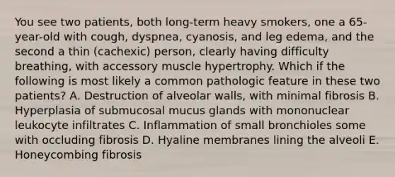 You see two patients, both long-term heavy smokers, one a 65-year-old with cough, dyspnea, cyanosis, and leg edema, and the second a thin (cachexic) person, clearly having difficulty breathing, with accessory muscle hypertrophy. Which if the following is most likely a common pathologic feature in these two patients? A. Destruction of alveolar walls, with minimal fibrosis B. Hyperplasia of submucosal mucus glands with mononuclear leukocyte infiltrates C. Inflammation of small bronchioles some with occluding fibrosis D. Hyaline membranes lining the alveoli E. Honeycombing fibrosis