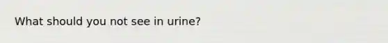 What should you not see in urine?