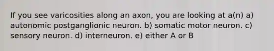 If you see varicosities along an axon, you are looking at a(n) a) autonomic postganglionic neuron. b) somatic motor neuron. c) sensory neuron. d) interneuron. e) either A or B