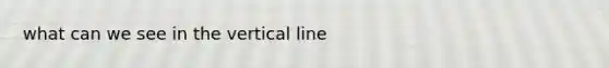 what can we see in the vertical line