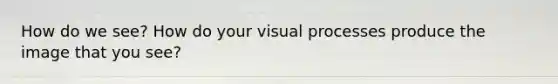 How do we see? How do your visual processes produce the image that you see?