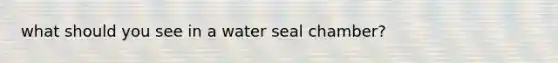 what should you see in a water seal chamber?